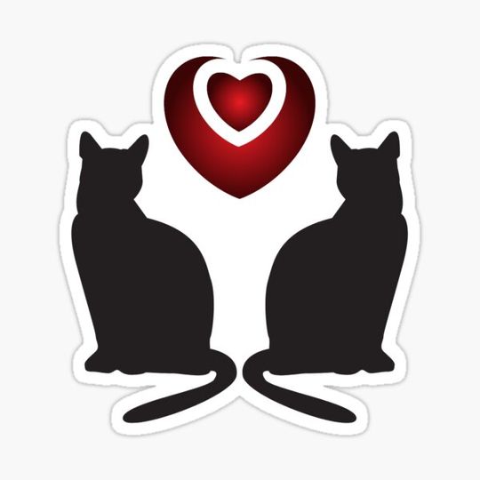 Discover Shinigami cats