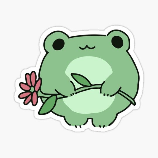 Discover cute frog & flower