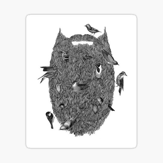 Discover BIRD BEARD