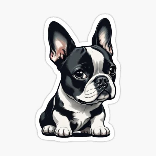 Discover Boston Terrier Puppy - No Text