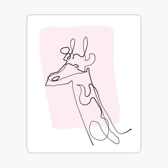 Discover giraffe
