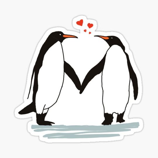 Discover Love in the ice, Romantic Penguins