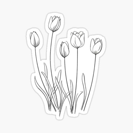 Discover Tulips. Minimalistic black line art of tulips. Black and white aesthetic. Tulips love