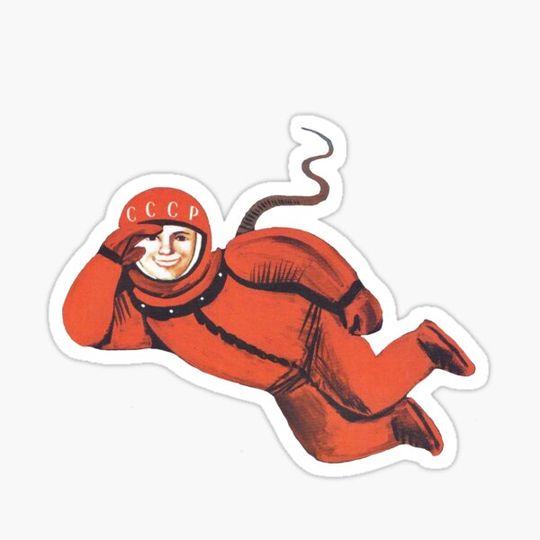 Discover Cosmonaut