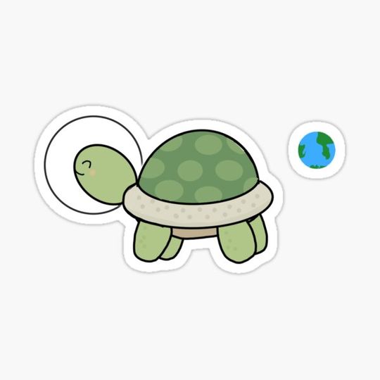 Discover Space Turtle