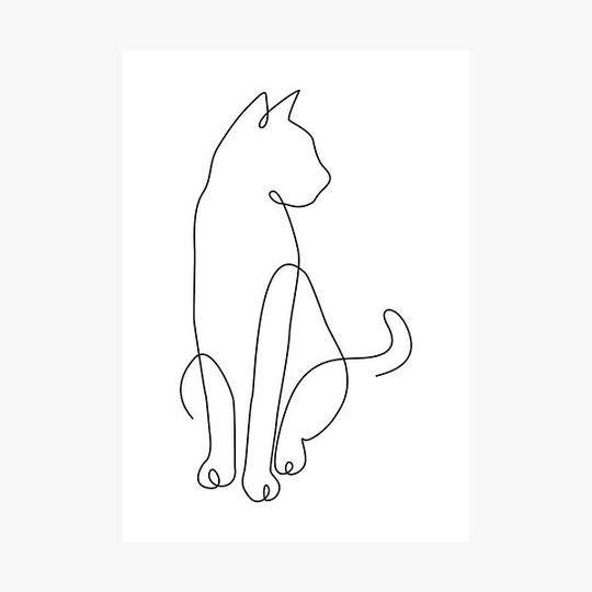 Discover Minimalist Cat