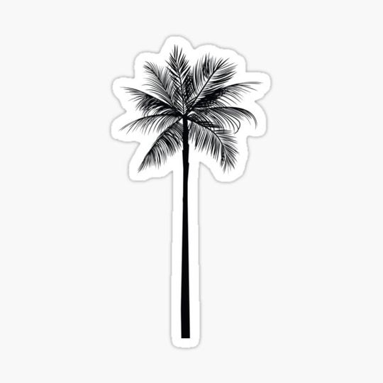 Discover palm tree