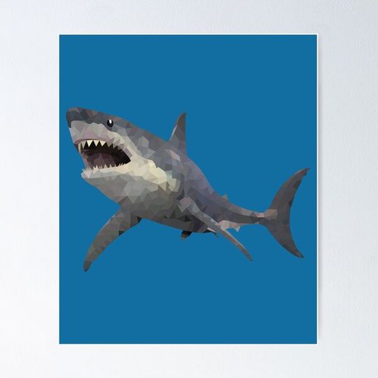 Discover shark-Polygonal animals