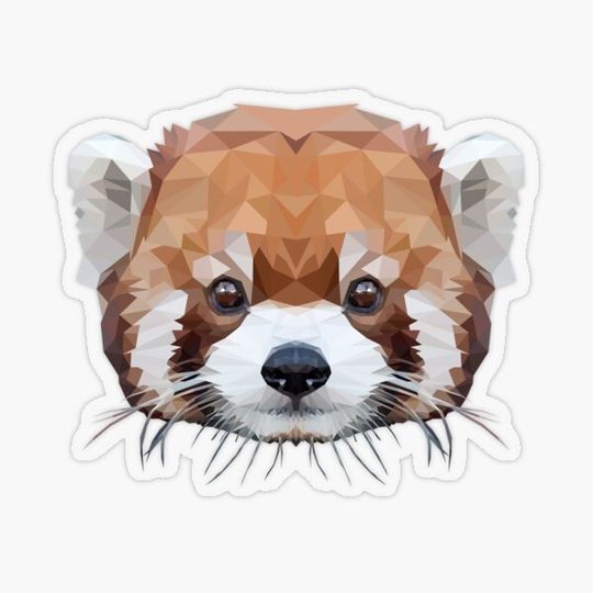 Discover Red Panda