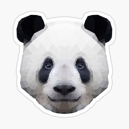 Discover panda