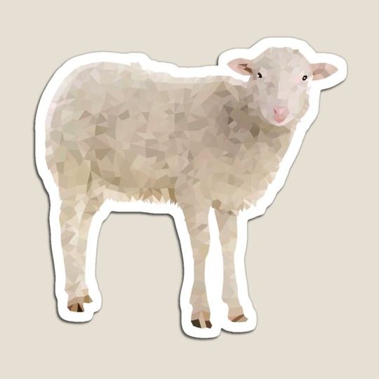 Discover sheep-Polygonal animals