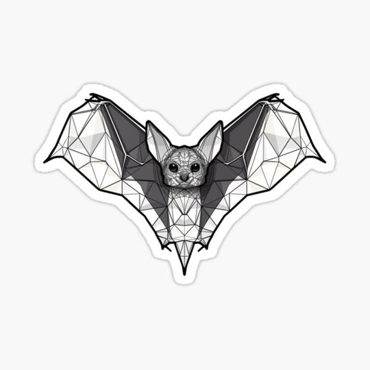 Discover Geometric Bat