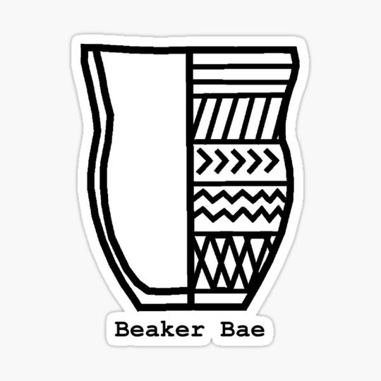 Discover Beaker Bae Black
