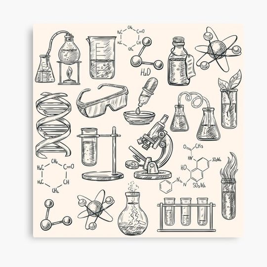 Discover Amazing Science