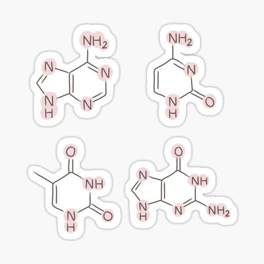 Discover Nucleotides