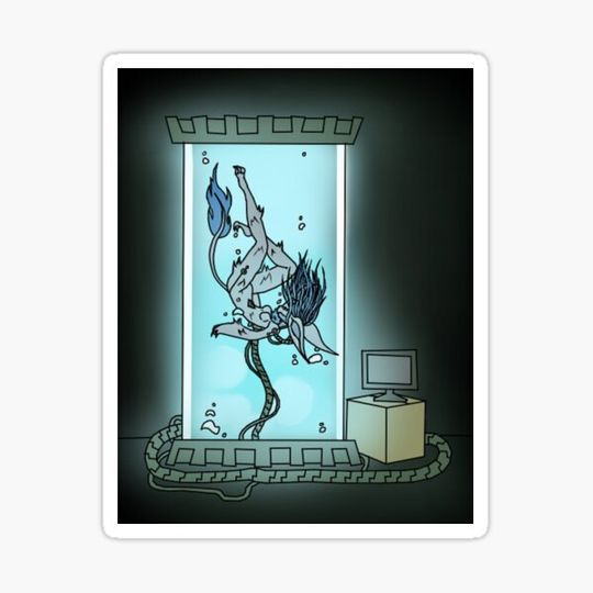 Discover The Experiment