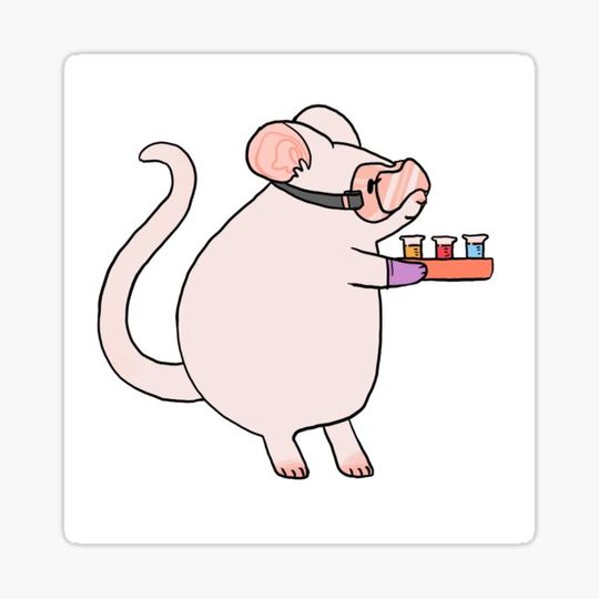 Discover lab mouse 2