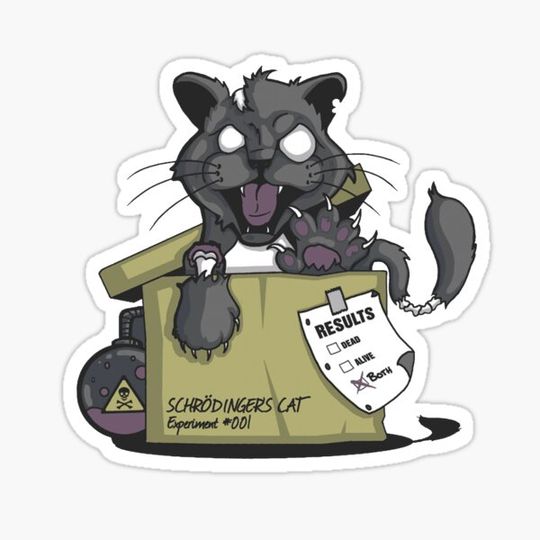 Discover Schrodinger's cat