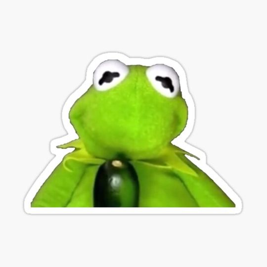 Discover Kermit's Special Package