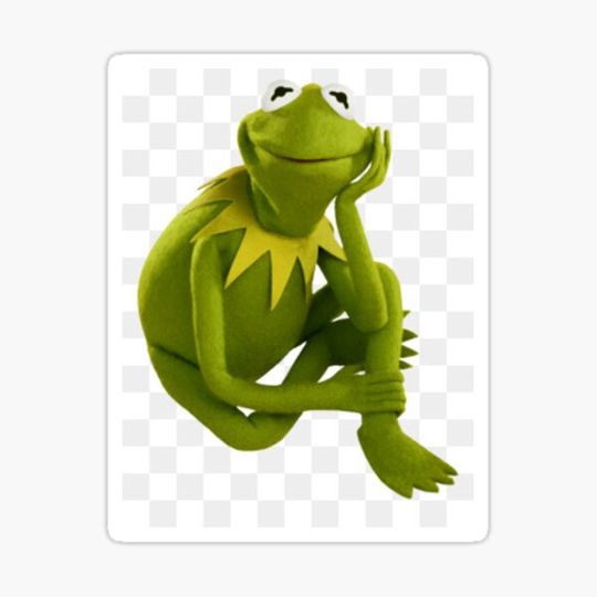 Discover K the frog