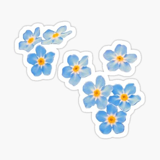 Discover Little Blue Flowers