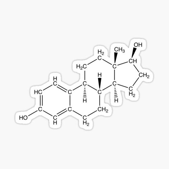Discover Estrogen - Skeleton