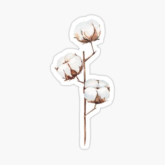 Discover Watercolor cotton flowers