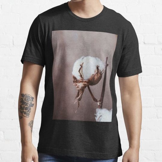 Discover cotton plant
