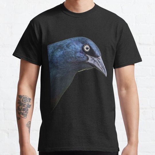 Discover Brewer's Blackbird or Common Grackle (2)