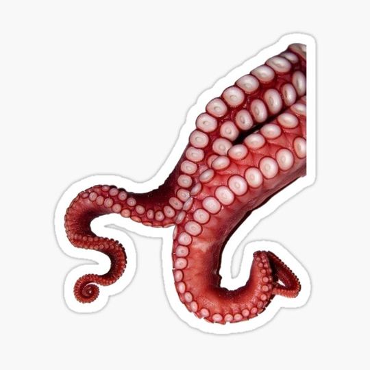 Discover Octopus weird random sticker