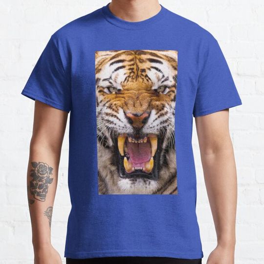 Discover Tiger Head