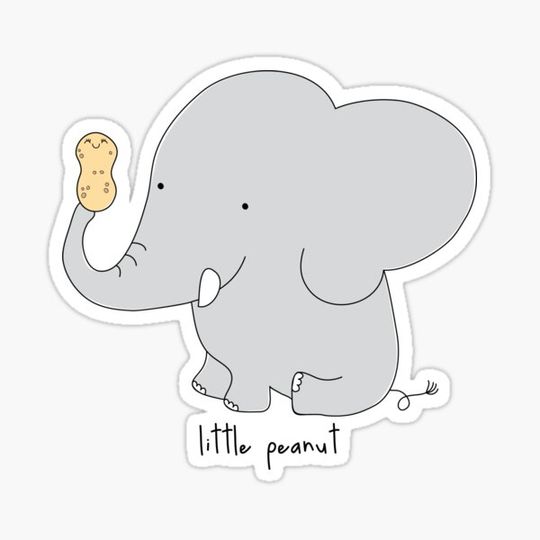 Discover Little peanut