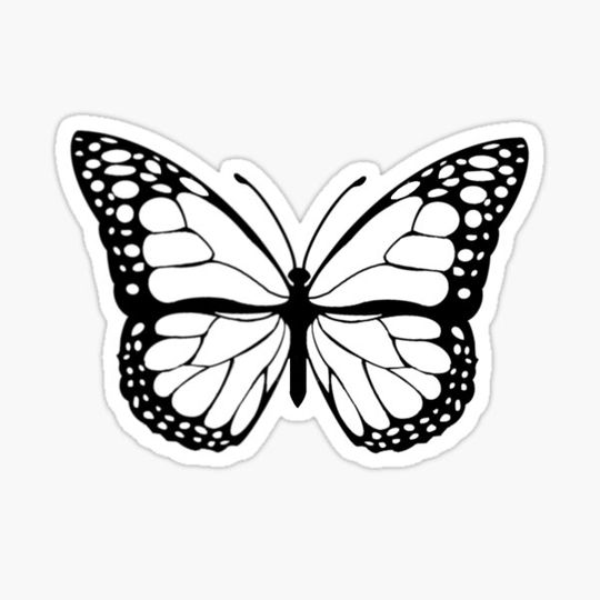 Discover Black and white butterfly