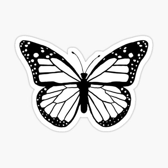 Discover White Butterfly