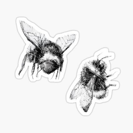 Discover pair of Honeybees, black and white pen drawing