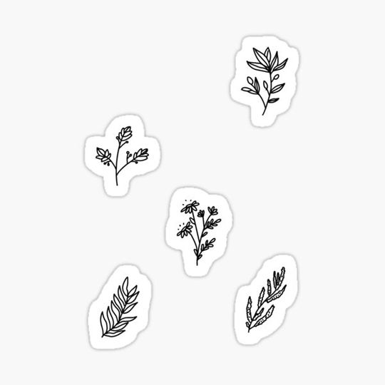 Discover flowers