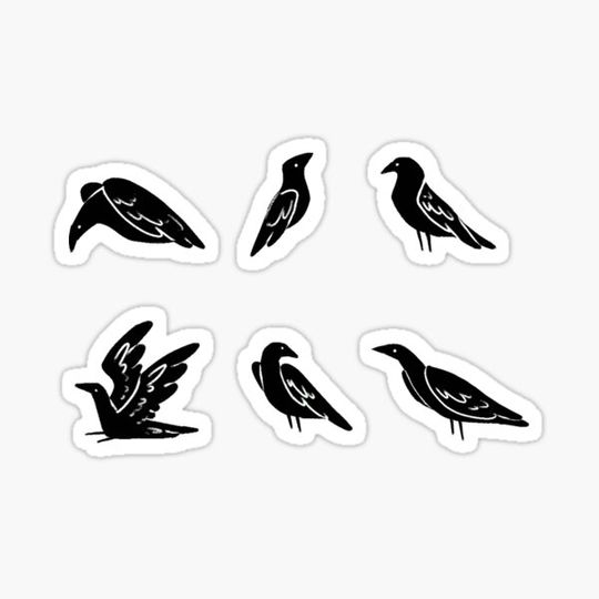 Discover Crows