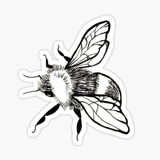Discover bumblebee