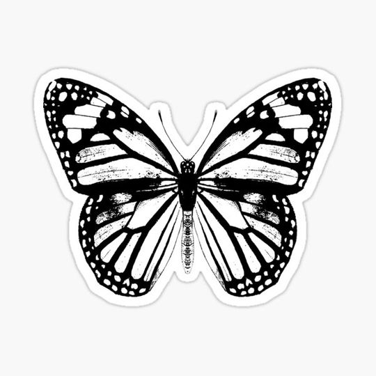 Discover Monarch Butterfly Pattern Black and White