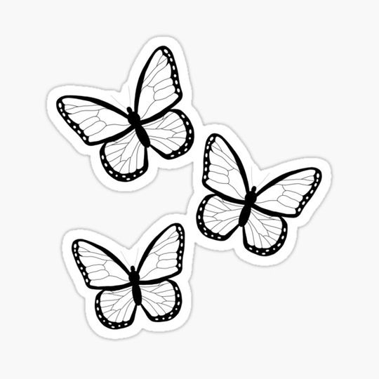 Discover Butterflies - White
