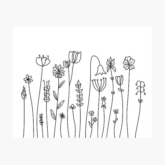Discover Simple Line Art Drawings of Flowers in Black and White