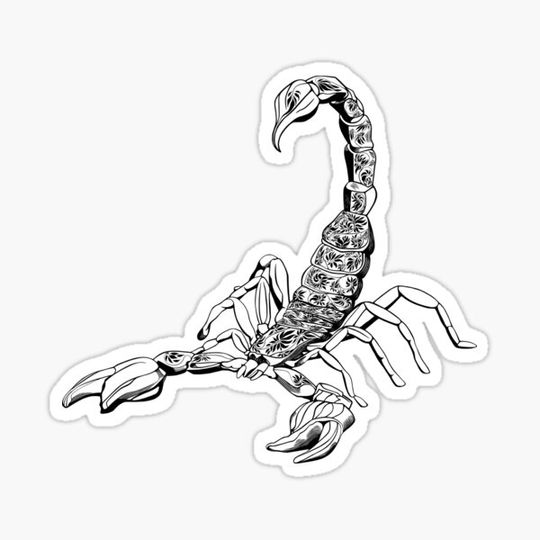 Discover Black Scorpio
