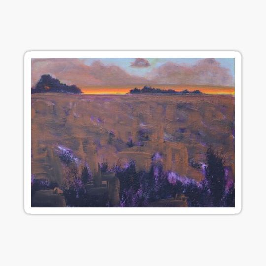 Discover Sunset Field