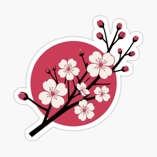 Discover Sakura sunrise in Japan