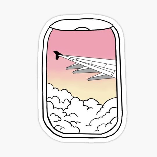 Discover airplane sunset view