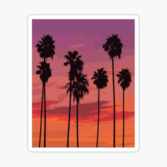 Discover Palm Trees