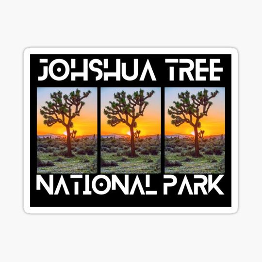 Discover Joshua Tree National Park