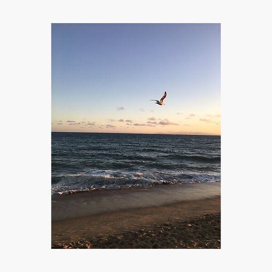 Discover Ocean Sunset