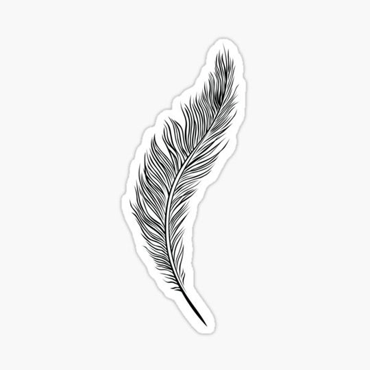 Discover Feather