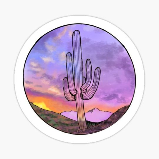 Discover Desert Sunset